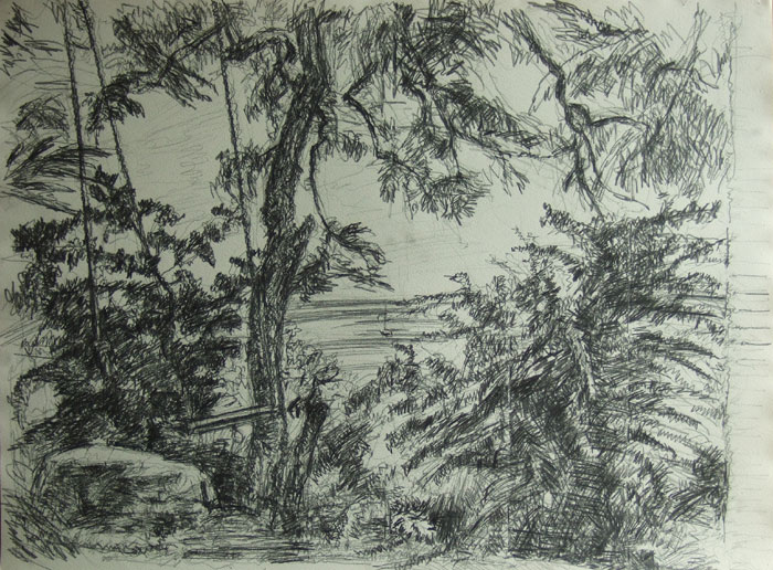 Årsdale sommer